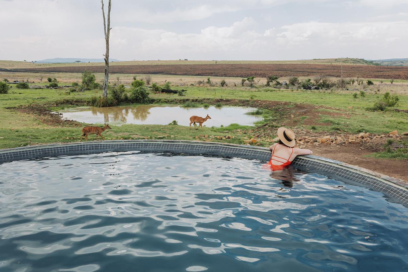 Villa Nambiti Plains Ladysmith Exterior foto