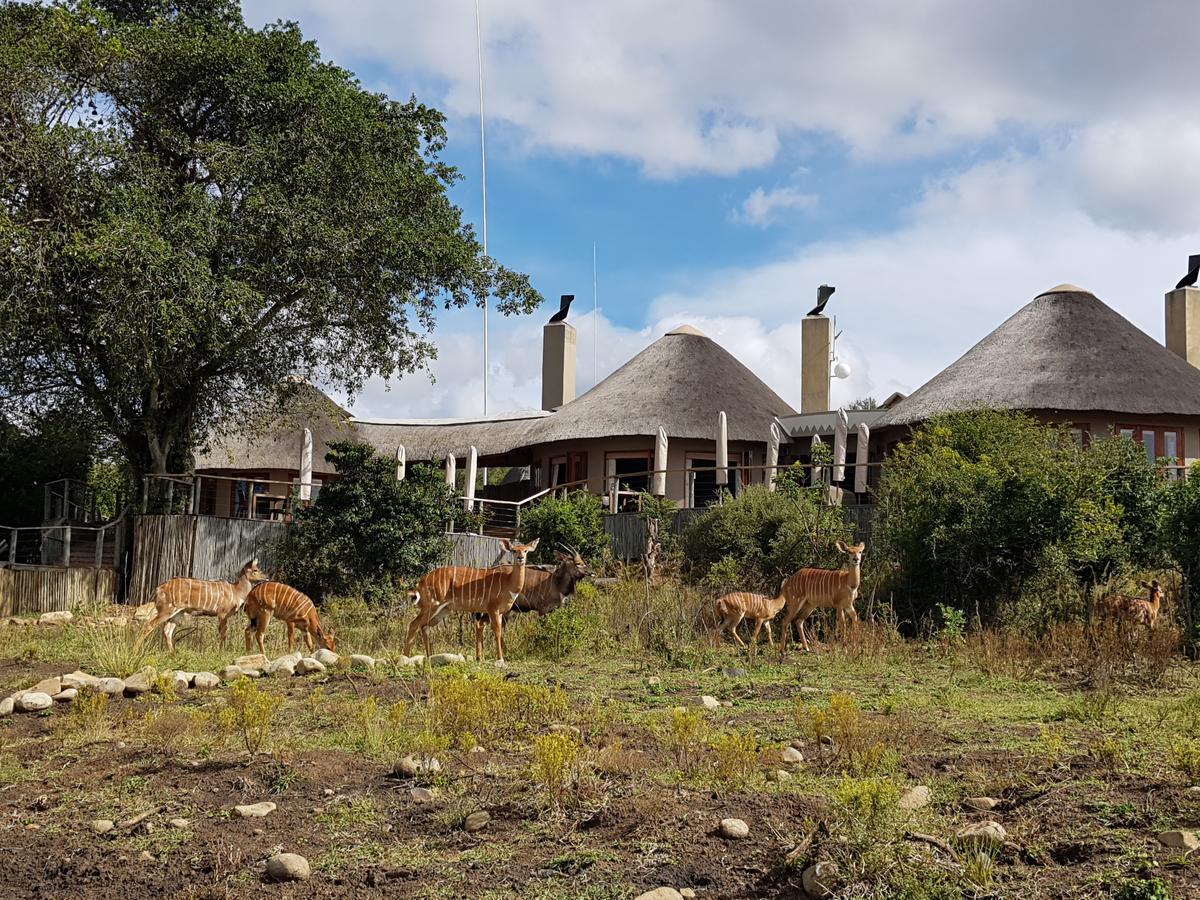 Villa Nambiti Plains Ladysmith Exterior foto